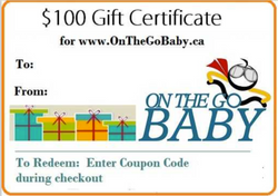 $100 Gift Certificate