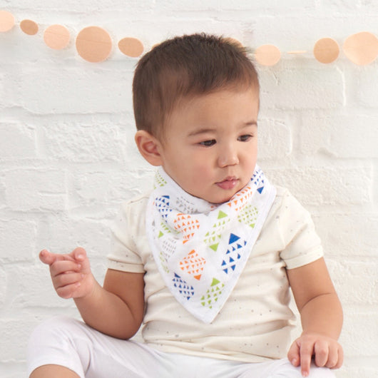 Aden Anais Classic Bandana Bib On The Go Baby Canada s