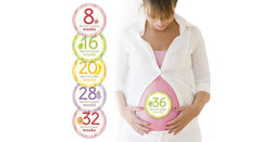Pearhead Pregnancy Belly Stickers