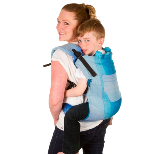 Ergo 360 carrier sales canada