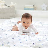 Aden + Anais Cotton Swaddles (2pk)